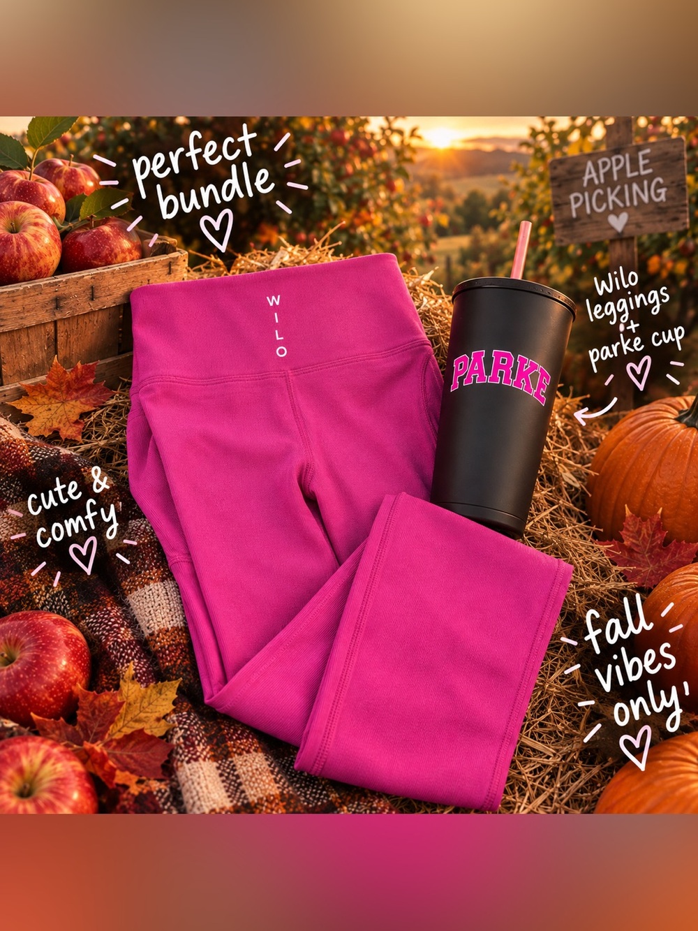 WILO Leggings + PARKE Cup Bundle | NWT | Size Small